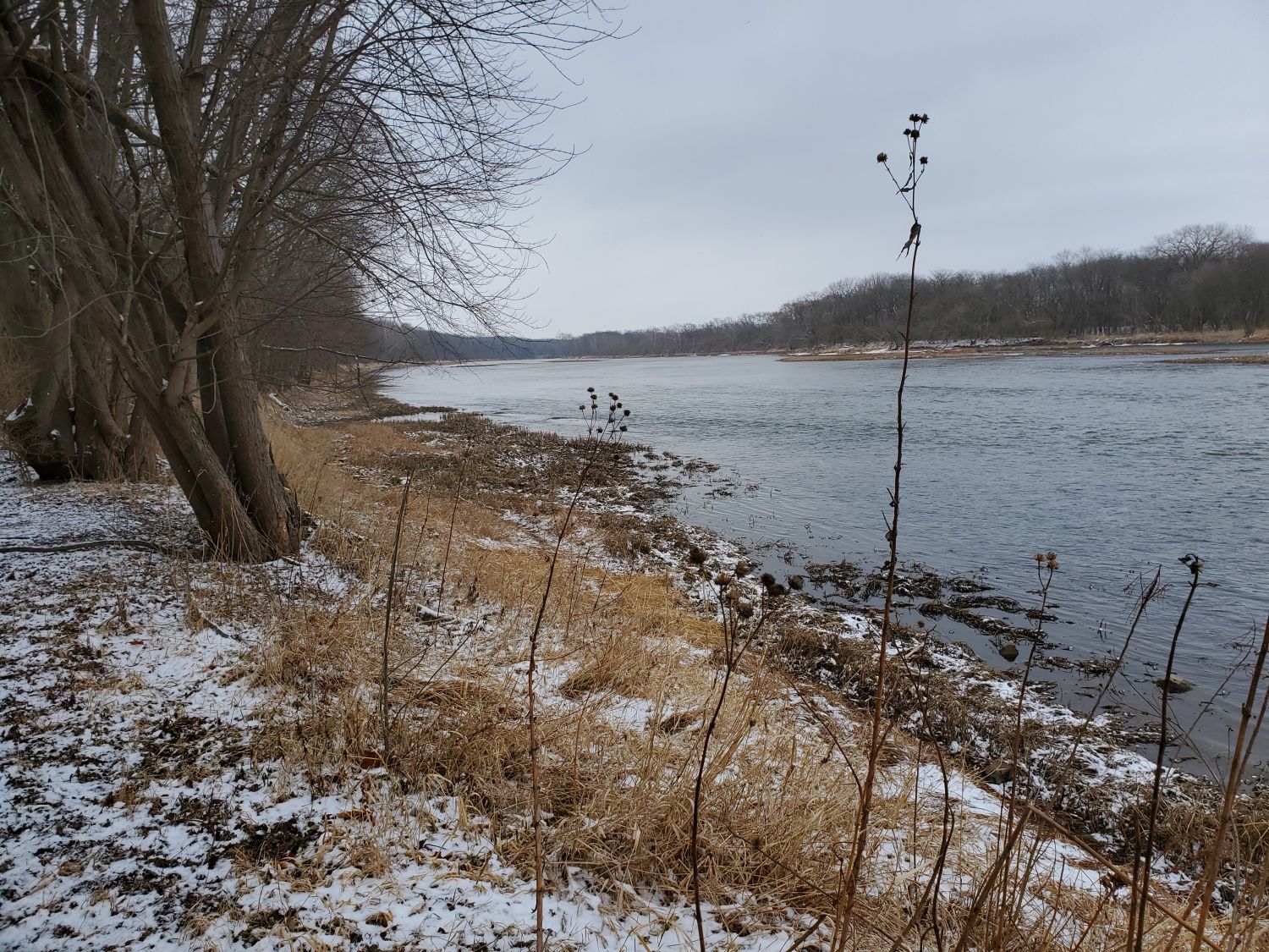 Kankakee River State Park 